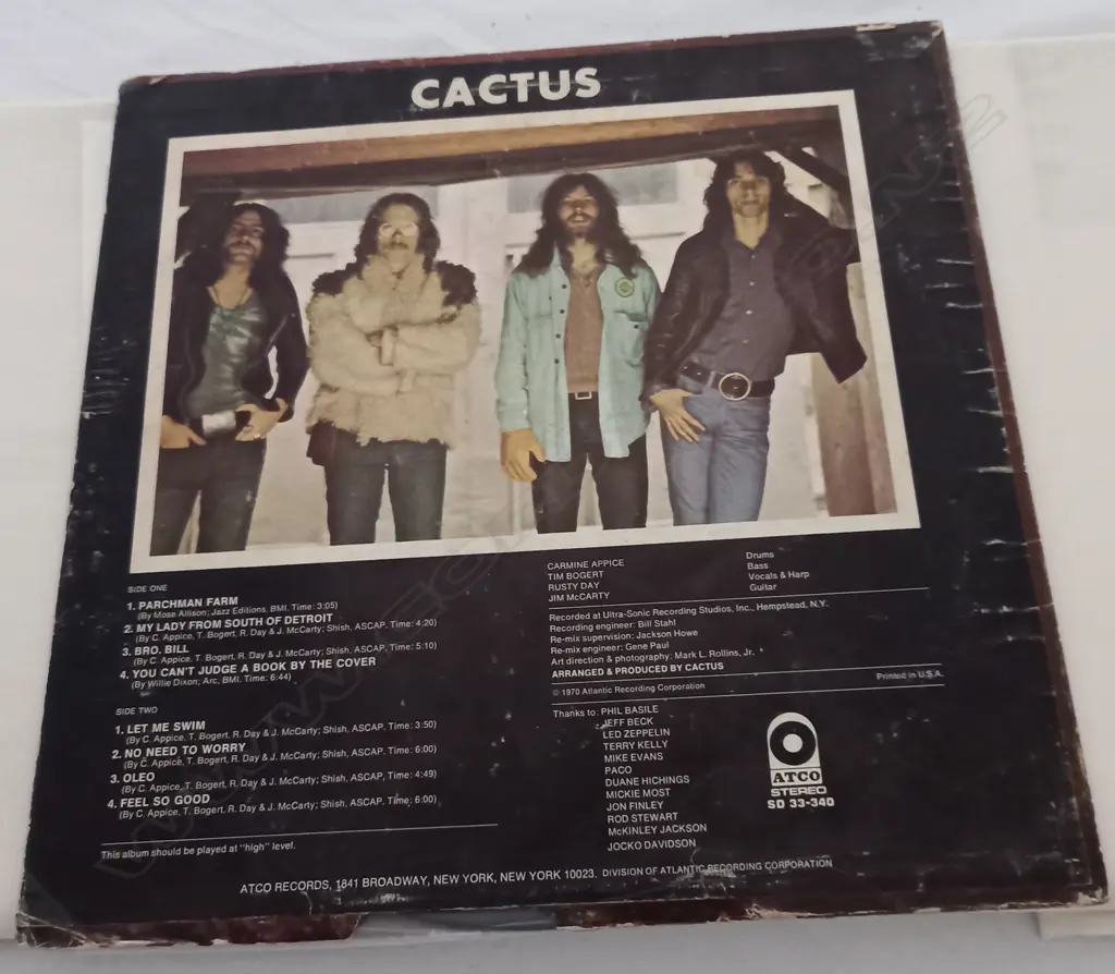 Cactus (3), Cactus Image 1++